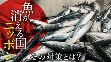 魚が消える国ニッポン、その対策とは？