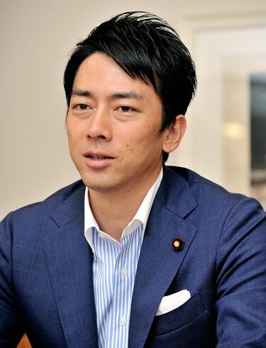 世界に1枚? 激レア 小泉 進次郎 クッション カバー 小泉 米 自民党 備蓄 チーム小泉」が描く国会改革と政党政治の未来 - 日本経済新聞