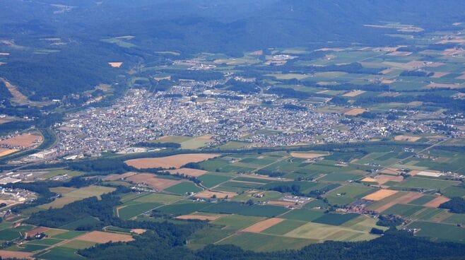 松平定信､同志の本多忠籌と意見を異にした訳