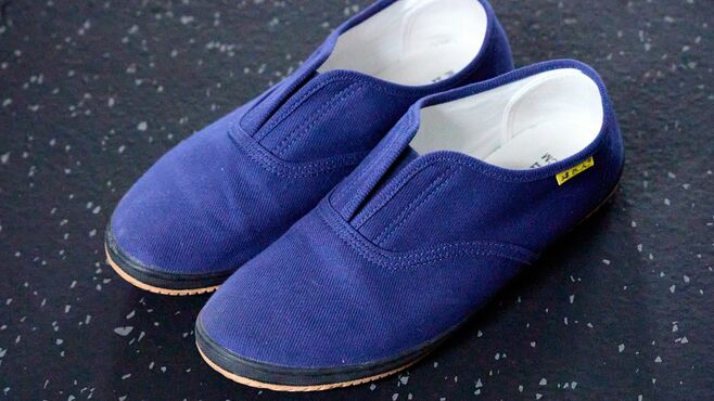 ワークマン｢780円シューズ｣累計850万足爆売れの訳