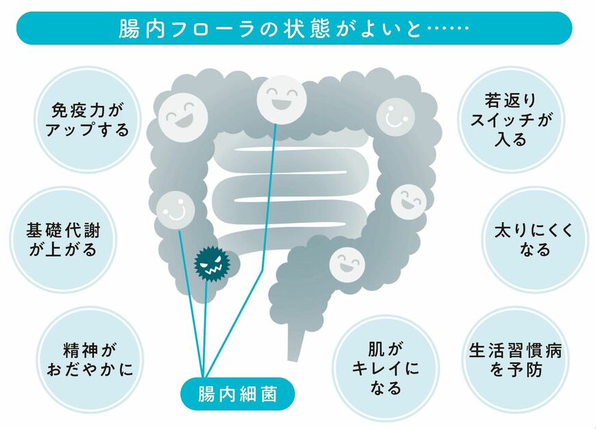 （画像：主婦と生活社）