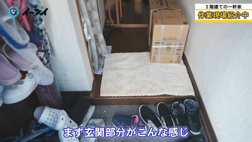 （画像：「イーブイ片付けチャンネル」より）