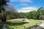鶴間公園