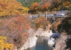 上越線の名所、諏訪峡の紅葉と185系