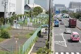 越中島貨物駅付近から京葉線の新木場駅付近までは空き地（左）が明治通り（右）に沿って延びている。もとは南砂町線用の土地でLRT構想での活用が考えられている（筆者撮影）