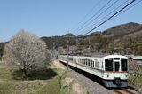 春の西武秩父線を走る4000系（撮影：南正時）