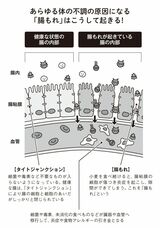 （出所：『小麦抜きのすすめ 3週間の脱小麦であなたの体に奇跡が起きる！』より）