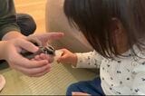フクモモと優しく触れ合う3歳の娘さん。教えたわけではないのに、自然と動物との触れ合い方を学んでくれた（写真提供：ひろさん）