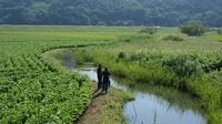 高まる水リスクと淡水の生物多様性の取り組み