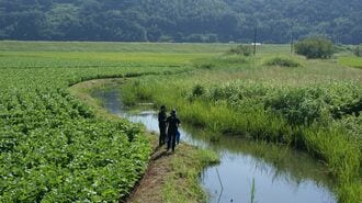 高まる水リスクと淡水の生物多様性の取り組み