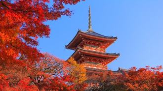 日本株､｢秋の暴落｣はもうないかもしれない