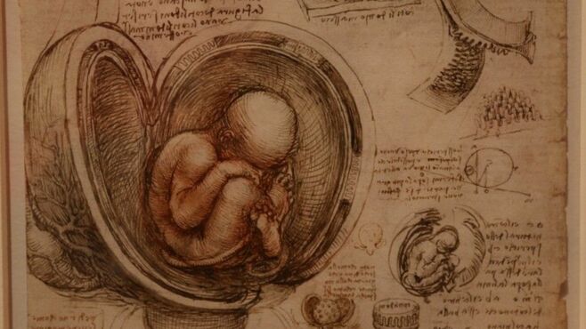 超天才ダ･ヴィンチに｢解剖学｣が必要だったワケ