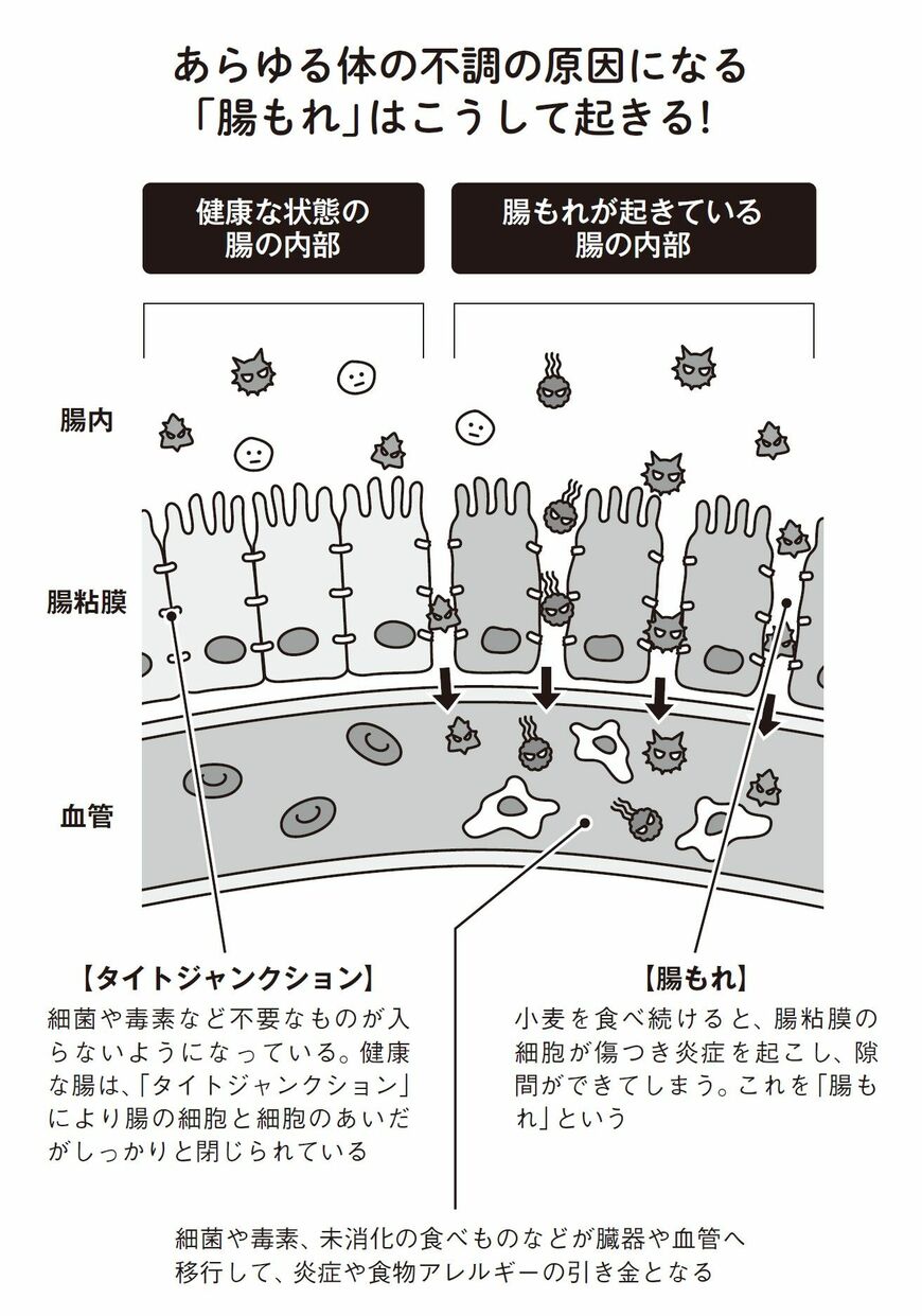 （出所：『小麦抜きのすすめ 3週間の脱小麦であなたの体に奇跡が起きる！』より）