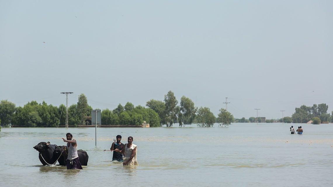 パキスタンの洪水被害