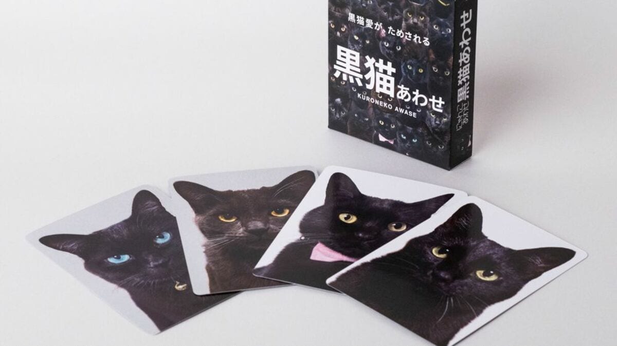 愛があればわかる！｣ポメラニアンや黒猫､生肉､せんべい…
