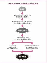 脂肪肝が糖尿病につながっていく流れ
