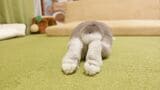 （写真提供：やすさん）