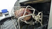 パナソニックが｢肉の丸焼き機｣を出せたワケ 始めは｢コレはないわ｣､それでも製品化した