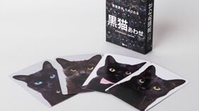 ｢愛があればわかる！｣ポメラニアンや黒猫､生肉､せんべい…"見分けがつかない"神経衰弱系カードゲーム爆売れの訳