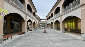 ｢地元商工会を無視して町が誘致｣→｢震災のダメージで廃墟化｣　茨城初のアウトレットモールをテナントが｢逆買収｣した訳