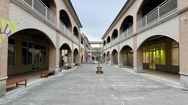 ｢地元商工会を無視して町が誘致｣→｢震災のダメージで廃墟化｣　茨城初のアウトレットモールをテナントが｢逆買収｣した訳