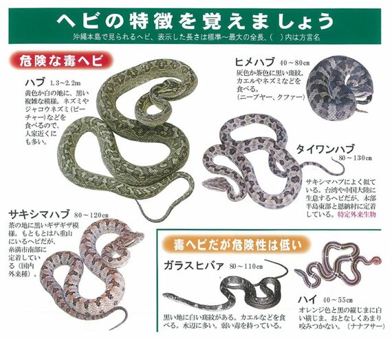 『令和7年ハブ咬症注意報』より引用