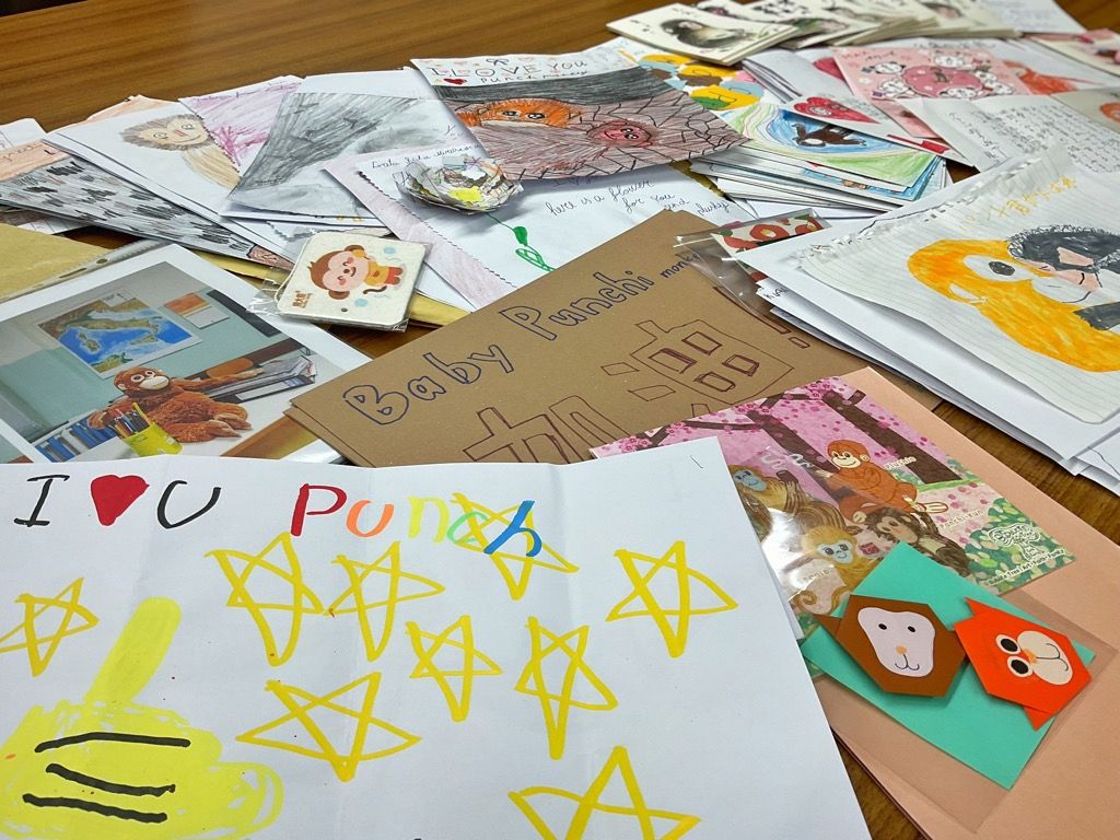 パンチくんへの手紙