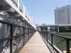 歩行者通路として整備した「すみだリバーウォーク」
