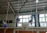 運動能力の向上を目的に体育の授業で登り綱をする際は、下にマットを敷いて「落ちたら危ない」「ケガをするのは登る時ではなく降りる時（摩擦によるやけどが多いため）」と伝えておく。子どもたちは自身で高さに慣れるとともに自分の腕力ならどのくらい登れるか、どこで引き返すべきか考えるようになり、結果的に安全に登れるようになるという（写真：松尾氏提供）