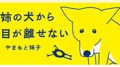 姉の犬から目が離せない