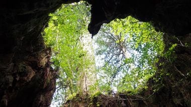 8 Auspicious Heart-Shaped Wonders in Japan 