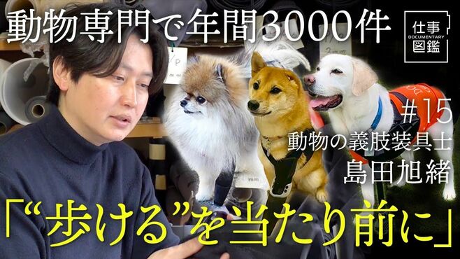 【獣医師も認める動物の義肢装具士】動物専…