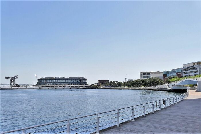 女神橋の北側から見た横浜ハンマーヘッド（左奥）