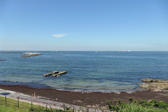 ベランダからの眺め（北側）