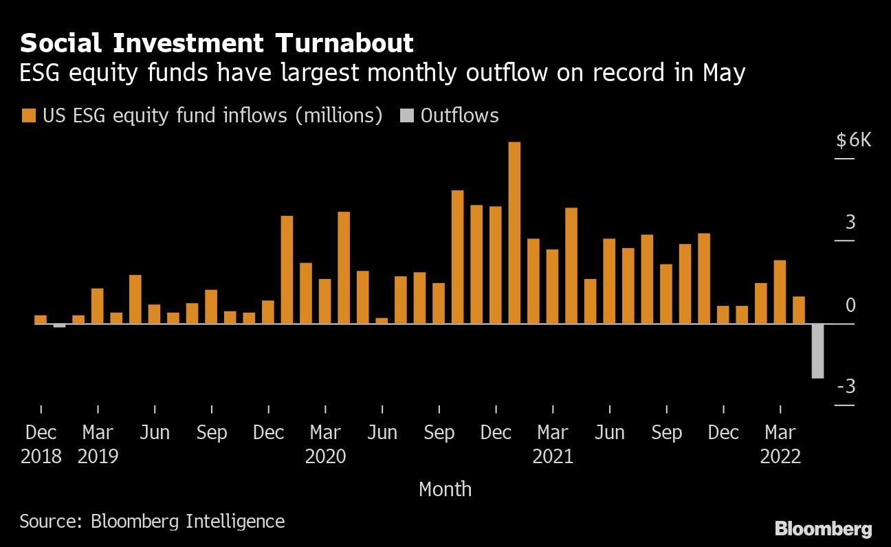 衰えるESGの威光､ついに個人投資家も距離を置き始めた｜会社四季報オンライン