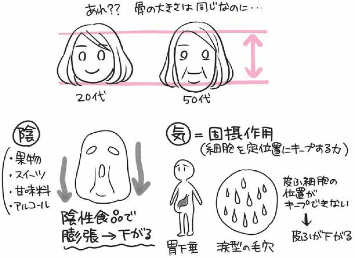 （出所：『自然やせ力 運動オタクが運動やめたらー10kg! やせ細胞を120%呼び覚ます養生』より）