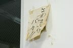 第1位　蛍光灯スイッチに貼られた故・山田昭男氏の直筆