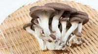 キノコ大手のホクトが今期大幅減益を見込む背景