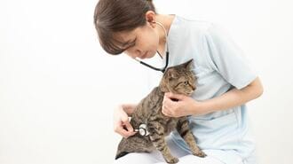 がんで200万円も｢ペットの医療｣高額化の現実