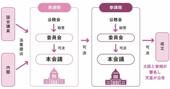 衆議院と参議院の役割（画像：筆者提供）