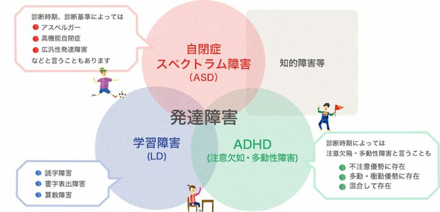 （画像：不登校新聞）