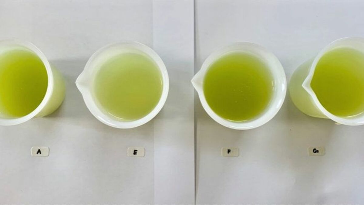 実験！｢お茶の味は水で変わるか｣その意外な結果 ティーバッグや水出しは水でどう味が変わる？ | 意外と知らない「暮らしの水」ウソ？ホント？ | 東洋経済オンライン