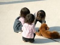 「子ども手当」論争から日本の病巣が見える--リチャード・カッツ