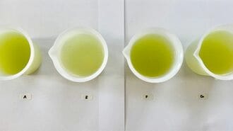 実験！｢お茶の味は水で変わるか｣その意外な結果