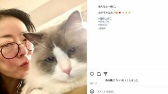 遠野さん愛猫保護で浮き彫り｢独居とペット｣問題