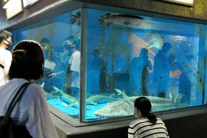 魚の国「昔のままの姿で」