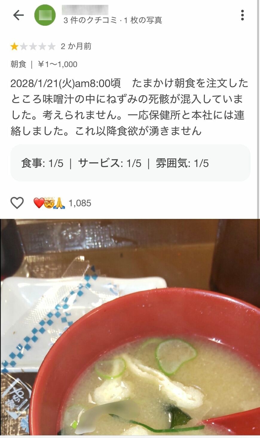 レビュー