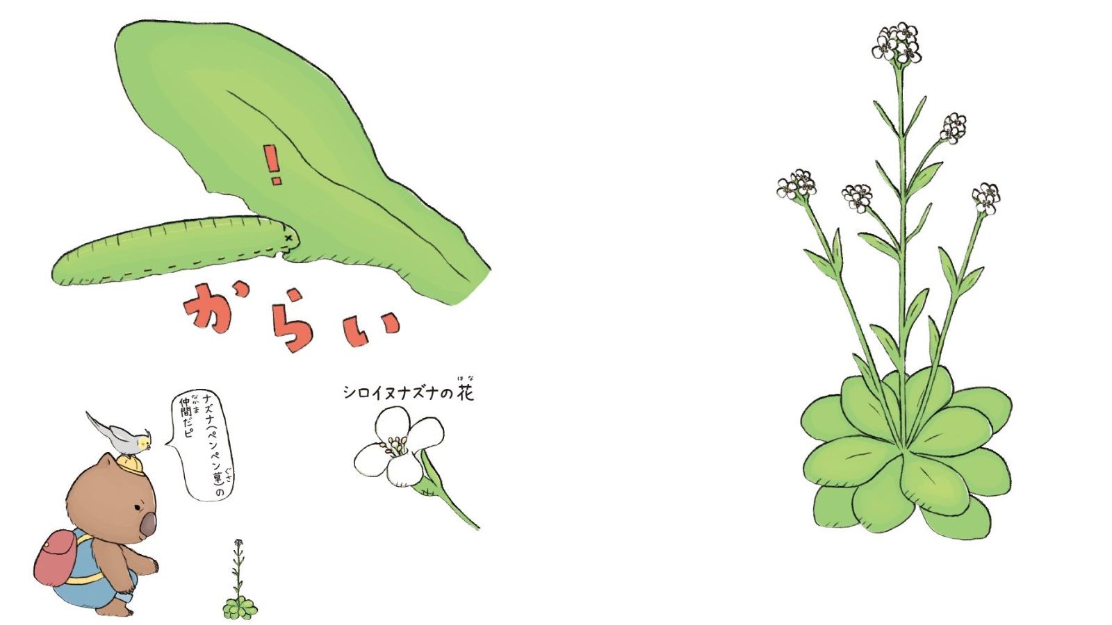 強烈にたくましい 8つの植物 のすごい生き様 読書 東洋経済オンライン 社会をよくする経済ニュース