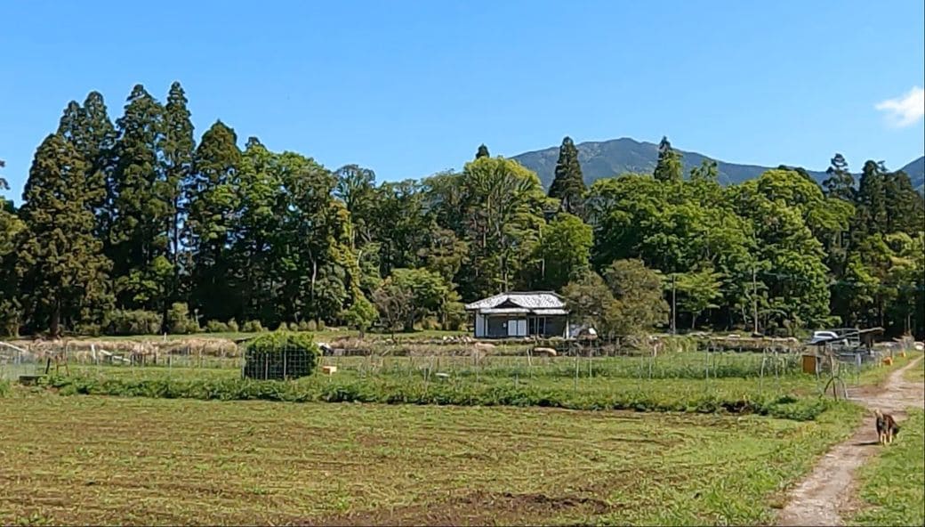 現在の日向新しき村の風景。中央奥に見えるのは「武者小路実篤記念館」で、実篤にまつわる書や絵画などが展示されている（2025年5月2日、宮崎県木城町で、弁護士ドットコムニュース撮影）