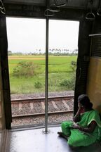 郊外へ行くと車窓には南インドの田舎の風景が流れる
